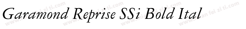 Garamond Reprise SSi Bold Italic字体转换